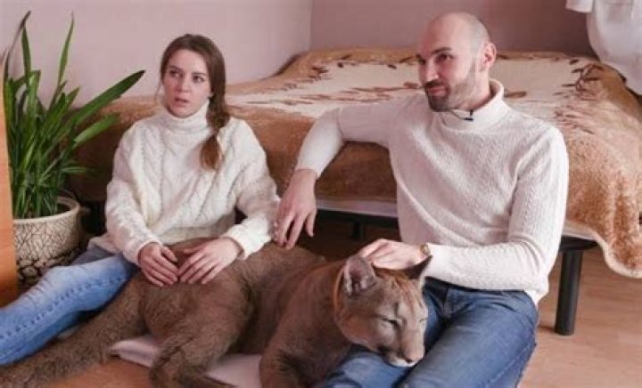 Alexandr Dmitriev Net Worth