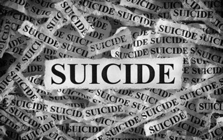 Bianca Siqueira’s Unexpected Death; Tragedy Hit the Land O’ Lakes
