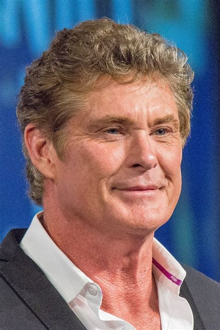 David Hasselhoff Net Worth