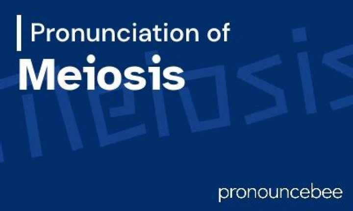 How to pronounce meiosis