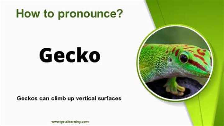How to spell gecko