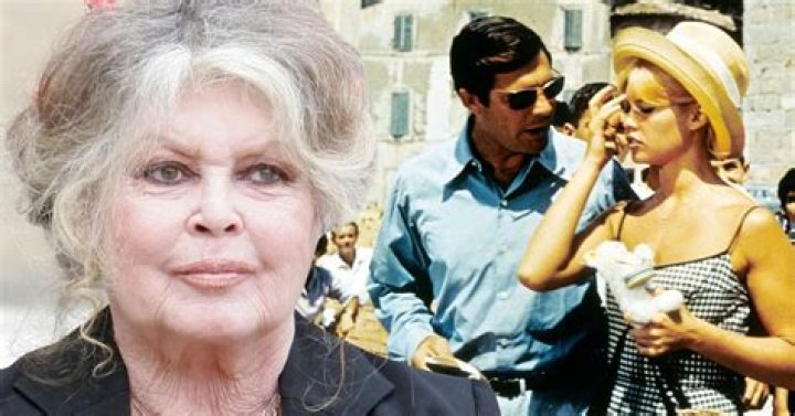Is Pamela Bardot Related To Brigitte Bardot? Relationship And Family