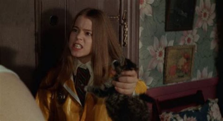 Paula E. Sheppard Net Worth