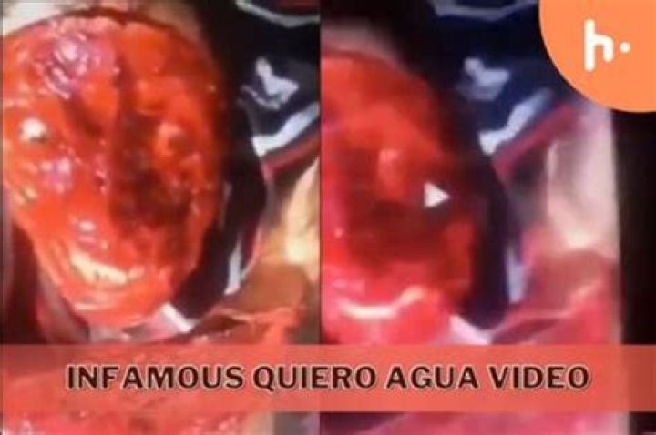 Quiero Agua Video Original Gore: A Deep Dive Into The Controversial Footage