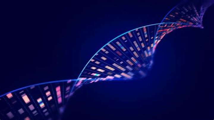 The Molecular Architects: A Comprehensive Exploration Of Genes