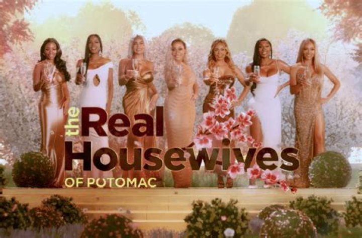 The Real Housewives Of Potomac Cast Net Worth & Salary