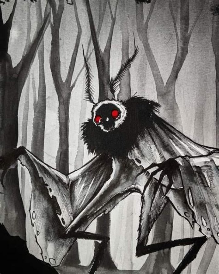 Unveiling The Enigmatic Legend Of Teresa Fidalgo