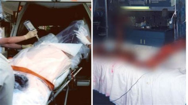 Unveiling The World Of Hisashi Real