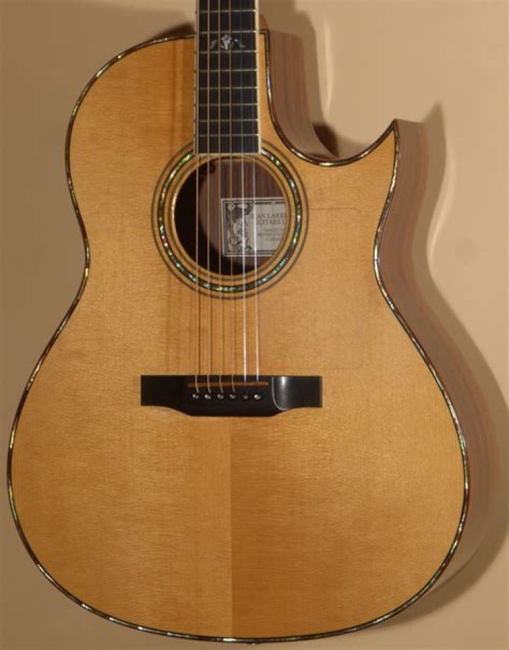 Wayne Larrivee Net Worth, Income, Salary, Earnings, Biography