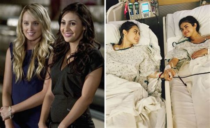 Wentworth Miller Wife 2024: Unveiling The Life Of The 'Prison Break' Star