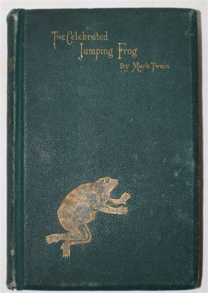 What is the message of the celebrated jumping frog