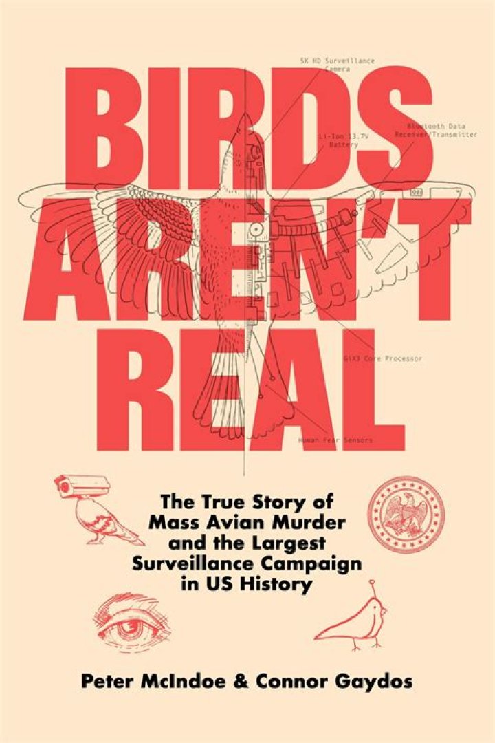 Who Is “Birds Aren’t Real” Founder Peter McIndoe And Where Is He From? Know About His Family Origin