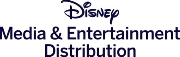 Who Is Kareem Daniel? Everything About The Chairman Of Disney Media & Entertainment Distribution