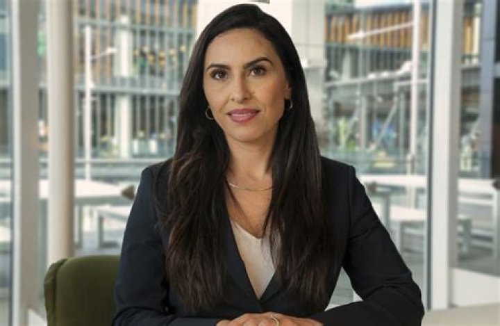 Who Is Lawyer Lisa Banks? Everything On Former WFT Employees Attorney